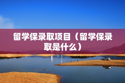 留学保录取项目（留学保录取是什么）