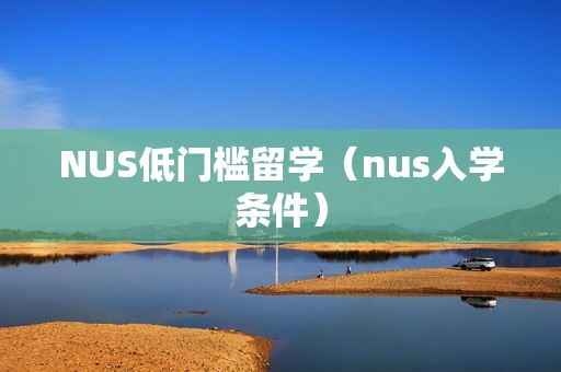 NUS低门槛留学（nus入学条件）