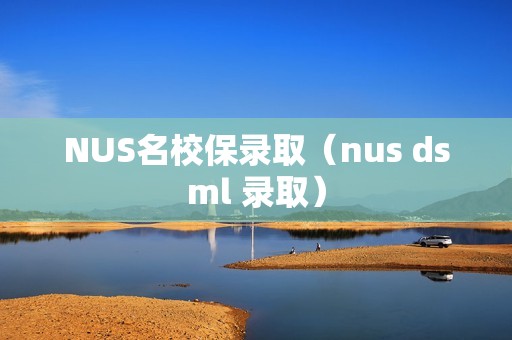 NUS名校保录取（nus dsml 录取）