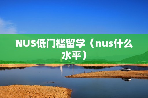 NUS低门槛留学（nus什么水平）