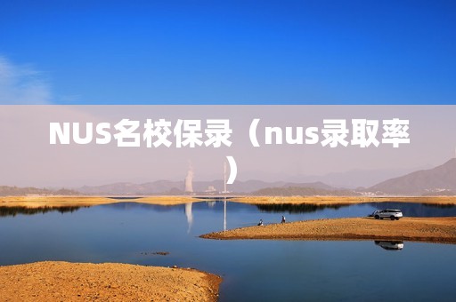 NUS名校保录（nus录取率）