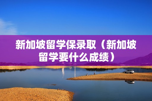 新加坡留学保录取（新加坡留学要什么成绩）