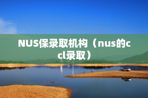 NUS保录取机构（nus的ccl录取）