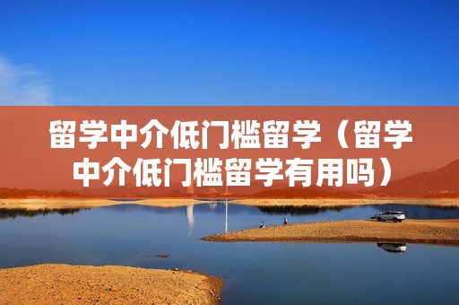 留学中介低门槛留学（留学中介低门槛留学有用吗）