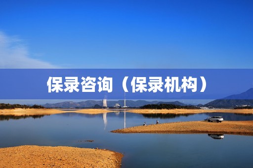 保录咨询（保录机构）