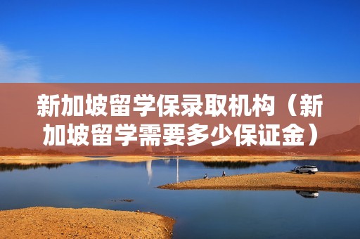 新加坡留学保录取机构（新加坡留学需要多少保证金）