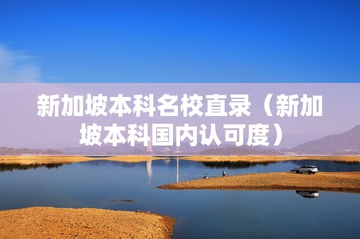 新加坡本科名校直录（新加坡本科国内认可度）