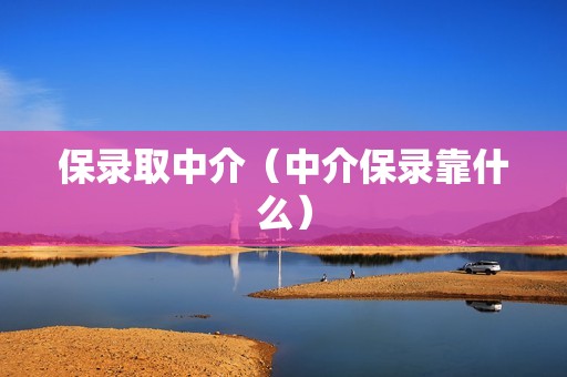 保录取中介（中介保录靠什么）