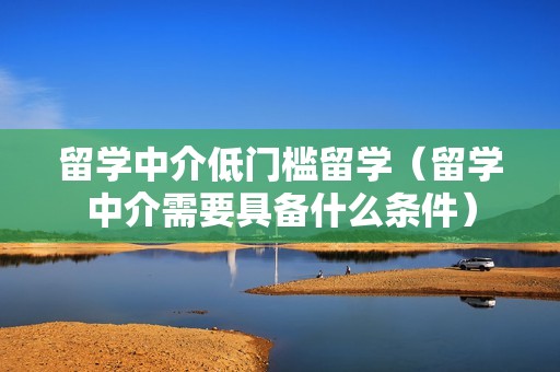 留学中介低门槛留学（留学中介需要具备什么条件）