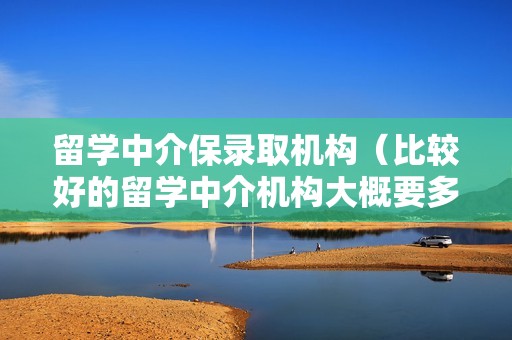 留学中介保录取机构（比较好的留学中介机构大概要多少钱）
