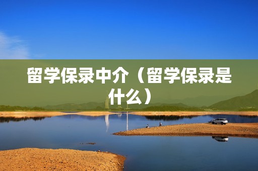 留学保录中介（留学保录是什么）