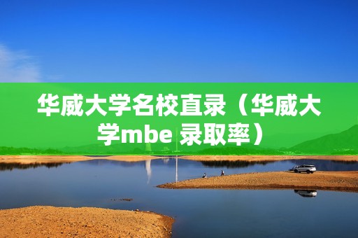 华威大学名校直录（华威大学mbe 录取率）