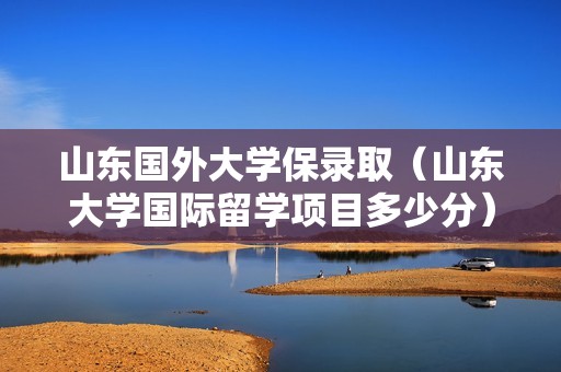 山东国外大学保录取（山东大学国际留学项目多少分）