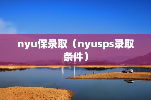 nyu保录取（nyusps录取条件）