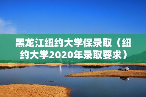 黑龙江纽约大学保录取（纽约大学2020年录取要求）