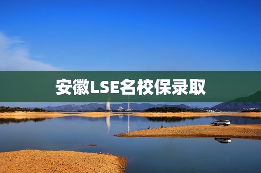 安徽LSE名校保录取