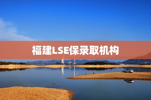 福建LSE保录取机构