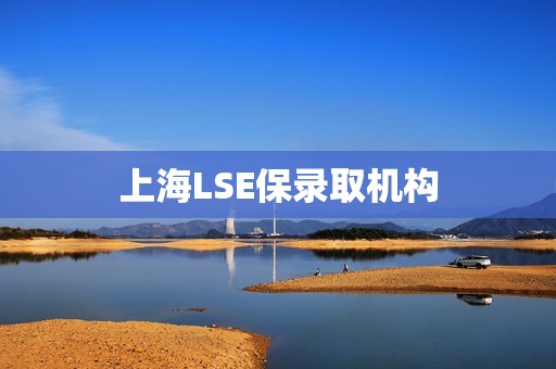 上海LSE保录取机构