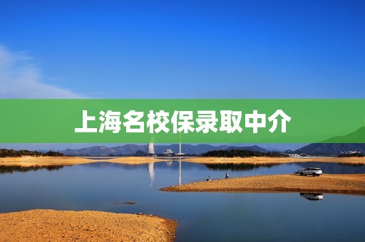 上海名校保录取中介