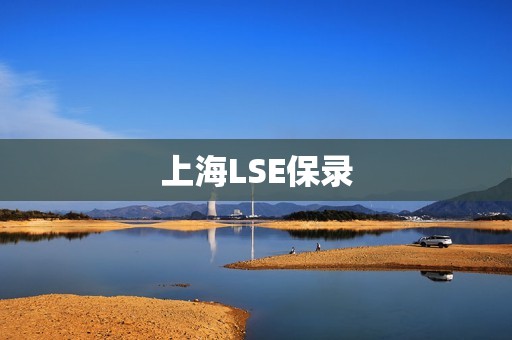 上海LSE保录