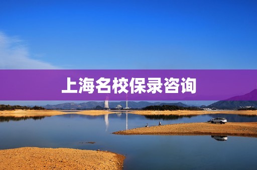 上海名校保录咨询