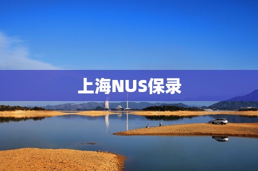 上海NUS保录