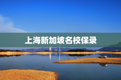 上海新加坡名校保录