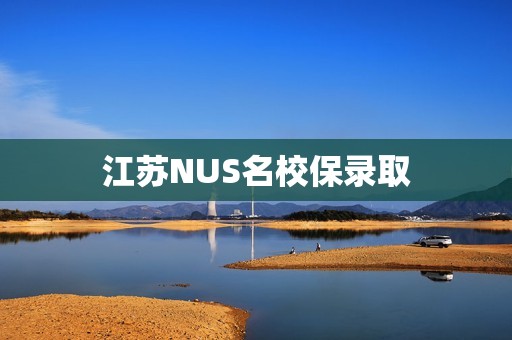 江苏NUS名校保录取