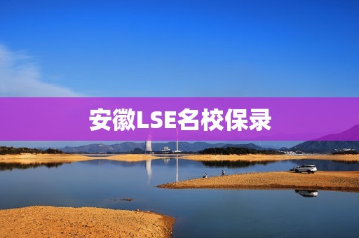 安徽LSE名校保录