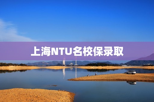 上海NTU名校保录取