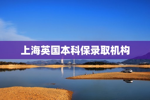 上海英国本科保录取机构