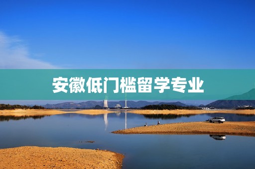 安徽低门槛留学专业