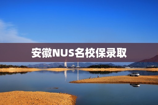 安徽NUS名校保录取