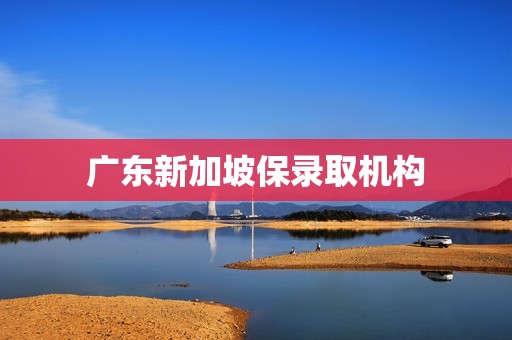 广东新加坡保录取机构