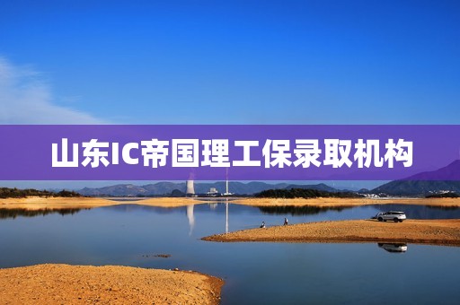 山东IC帝国理工保录取机构