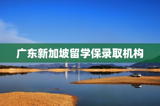 广东新加坡留学保录取机构