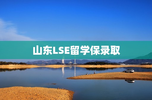 山东LSE留学保录取