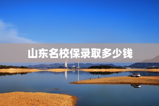 山东名校保录取多少钱