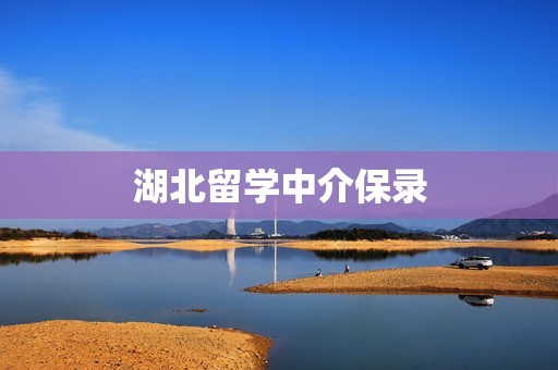 湖北留学中介保录