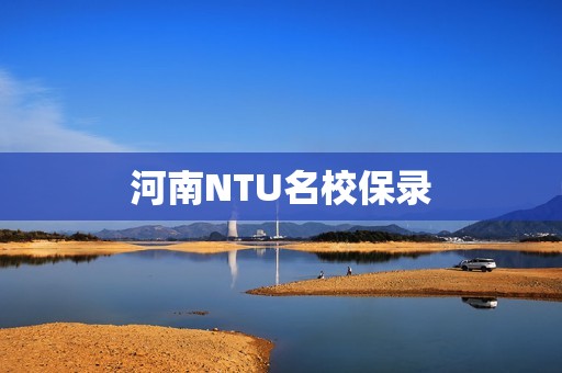 河南NTU名校保录