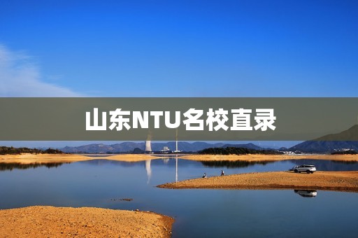 山东NTU名校直录