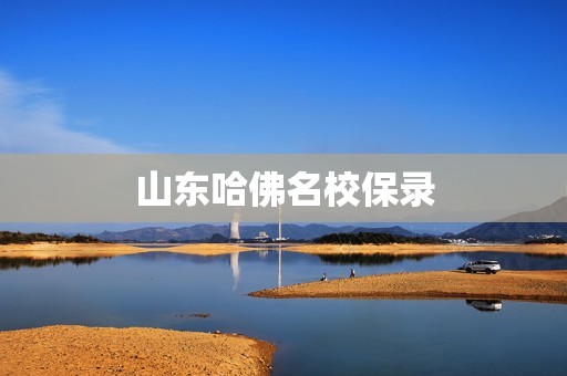 山东哈佛名校保录