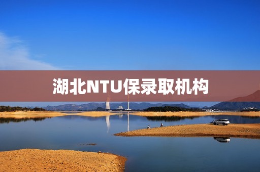 湖北NTU保录取机构