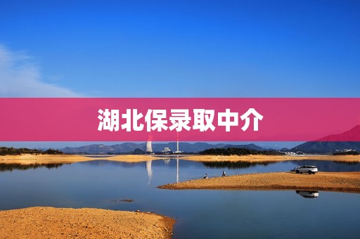 湖北保录取中介