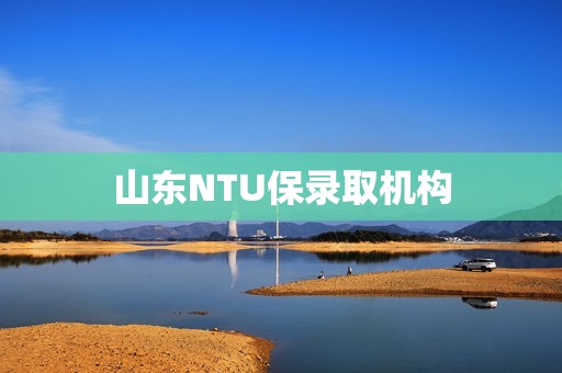 山东NTU保录取机构