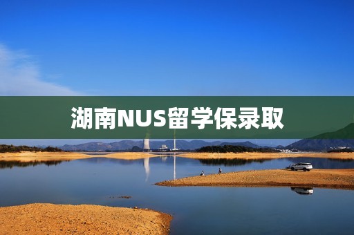 湖南NUS留学保录取