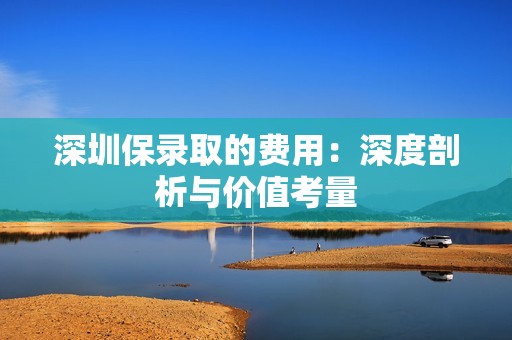 深圳保录取的费用：深度剖析与价值考量