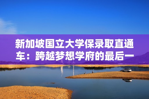 新加坡国立大学保录取直通车：跨越梦想学府的最后一步
